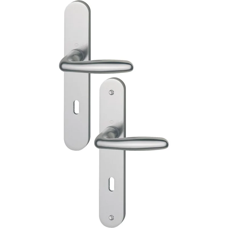POIGNEE DE PORTE sur plaque VERONA alu aspect inox 195mm clé LHOPPE Offre Du Jour