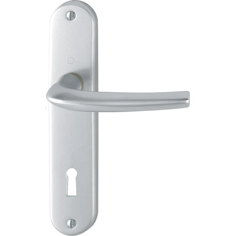 POIGNEE DE PORTE SAN DIEGO 1191/347 aspect argent clé LHOPPE Dernière Chance