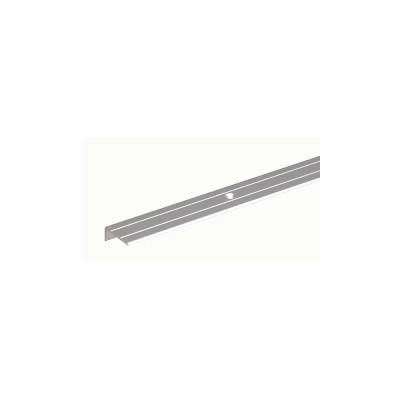 Acheter En Ligne Nez de marche alu anodisé argent 1m 24,5x10mm Ep.1,5mmGUST ALBERTS GMBH AND CO