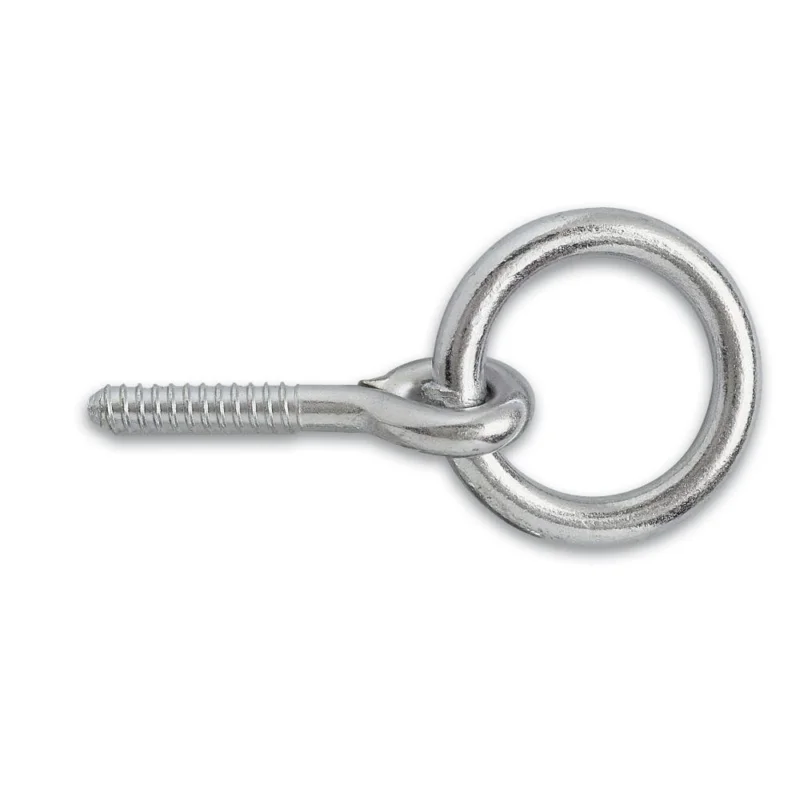 Dernière Chance Anneau d‘écurie vis bois acier zingué 50mm Ø10mmCHAPUIS JEAN