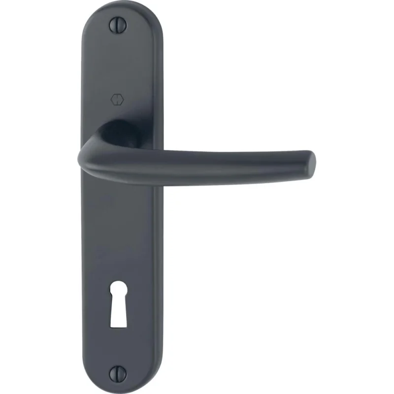 POIGNEE DE PORTE sur plaque SAN DIEGO F9714 noir mat clé LHOPPE Petit Prix