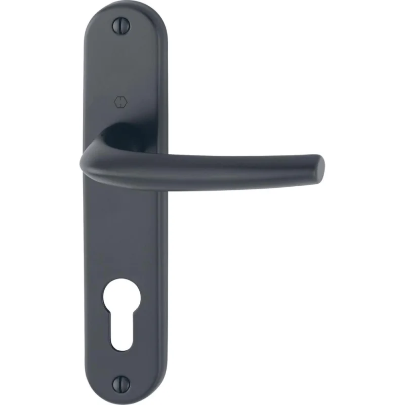 Produit De Marque Poignée de porte sur plaque SAN DIEGO F9714 noir mat clé IHOPPE