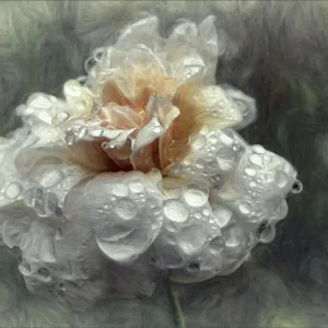 Nouveauté After the shower...