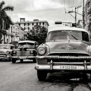 1950s Nouveauté