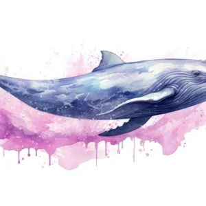 Acheter En Ligne Blue Whale