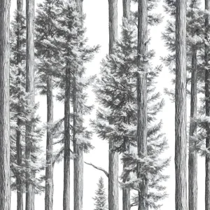 Achat Immédiat Sketched tree trunks in black and white