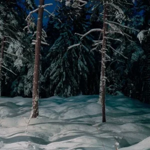 Winter Forest at Night Meilleure Vente