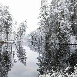 Winter Lake Reflection Solde