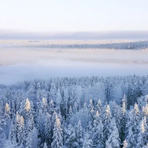 Winter Landscape in Jamtland Nouveauté