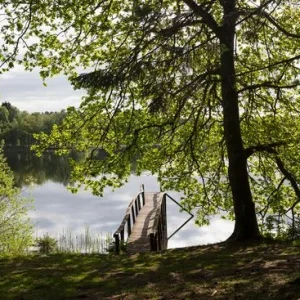 Wooden Jetty at Lake Retour Gratuit