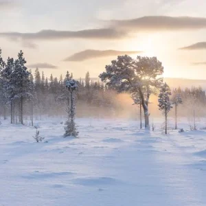 Winter Landscape in Sunset Quantité Limitée