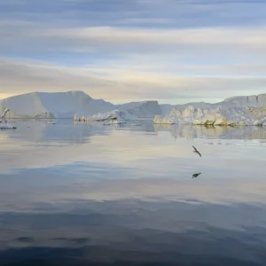 View over Disco Bay on Greenland Commander Maintenant