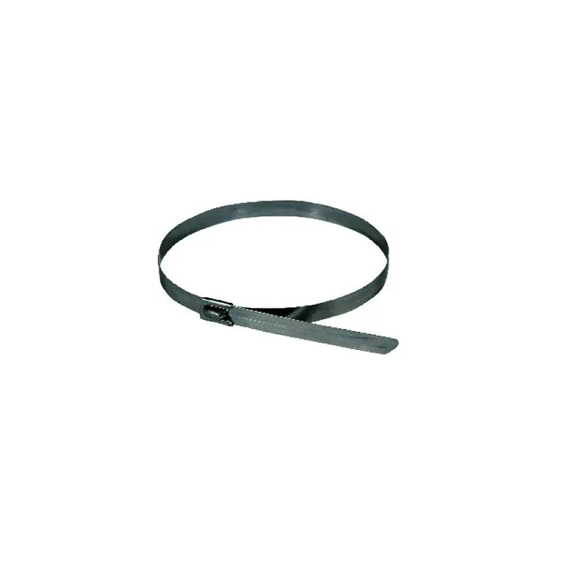 Commander Maintenant Bizline BIZ300100 - 100 x Serres-Câbles acier inoxydable 4.6 x 100 mm
