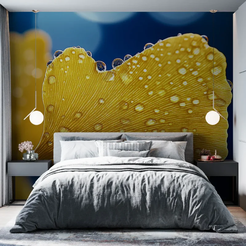 Papier peint ginkgo Feuille de ginkgo jaune avec gouttes d‘eau Jusqu'à Épuisement Des Stocks