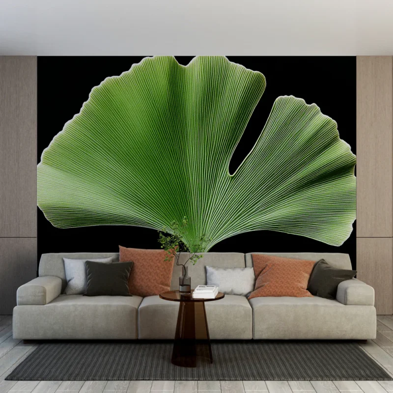Papier peint feuilles Feuille de gingko biloba sur fond noir Meilleur Prix