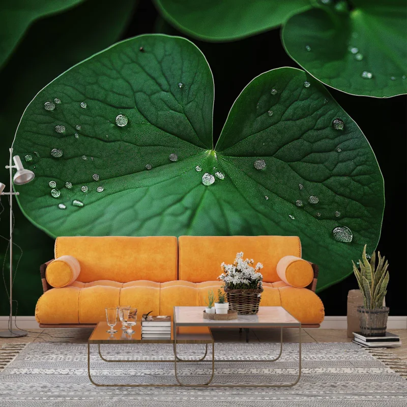 Papier peint feuilles vertes Gros plan sur des feuilles avec gouttes d‘eau Nouvelle Collection