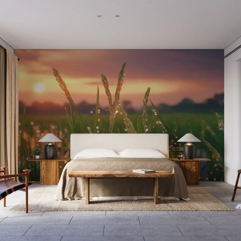 Offre Spéciale Papier peint nature Champ de riz avec gouttes de rosée au coucher de soleil