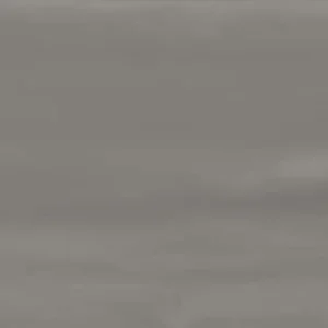 20X60 LOWRY SILVER MATE Livraison Express
